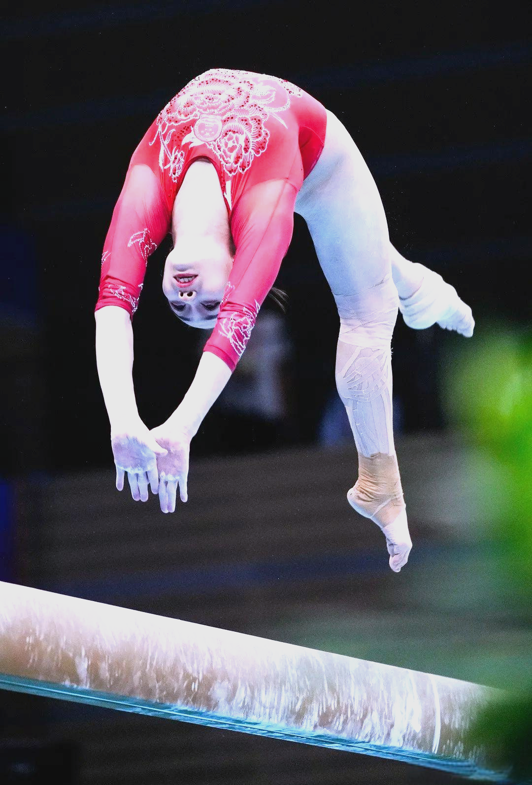 体操女将勇夺冠军，矢志突破的简单介绍