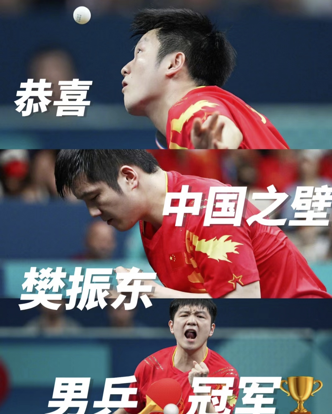 中国队完胜日本队，樊振东刷新纪录