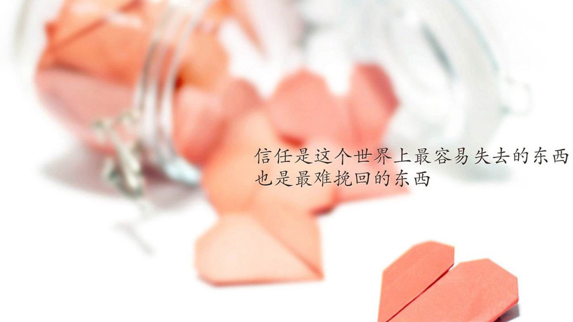 暗流与权杖，美国女足如何用无形之手扼住荷兰命运的脉搏