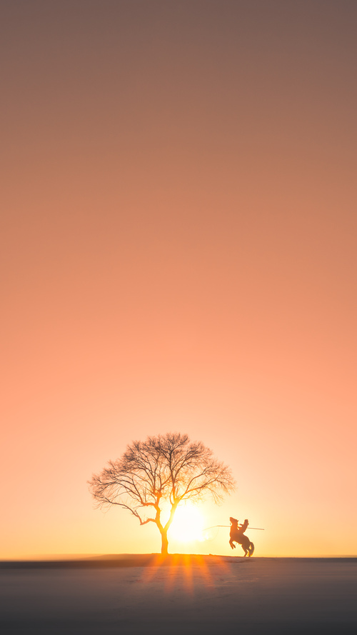 速度之巅与烈日熔城，双轨并行的终极竞技诗篇