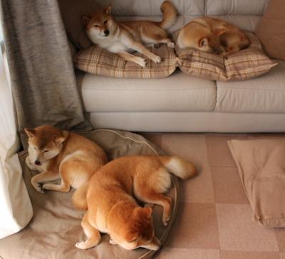 意甲焦点战启示录，黄蜂如何打穿深圳队防线