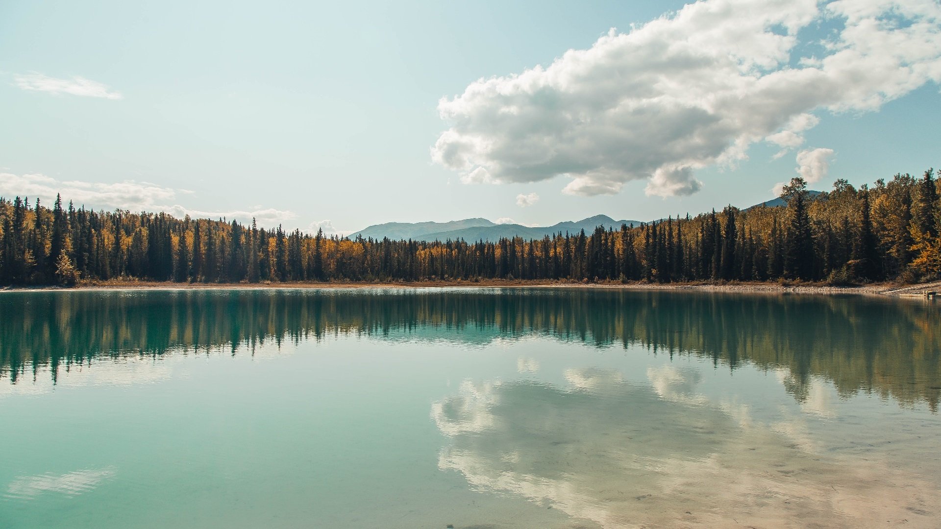 从非洲雄狮到战术轴心，当代足球的多元制霸与位置革命